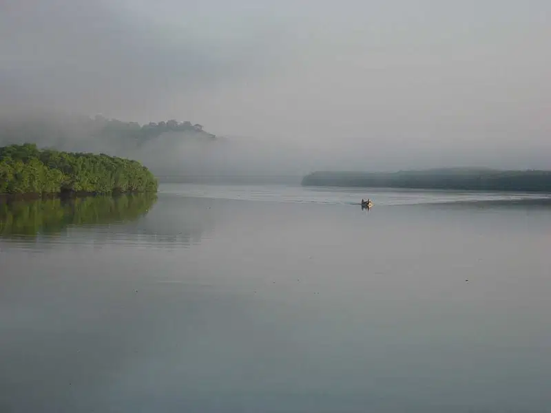 https://avathioutdoors.gumlet.io/travelGuide/dev/andaman-nicobar-islands_P9035.jpg