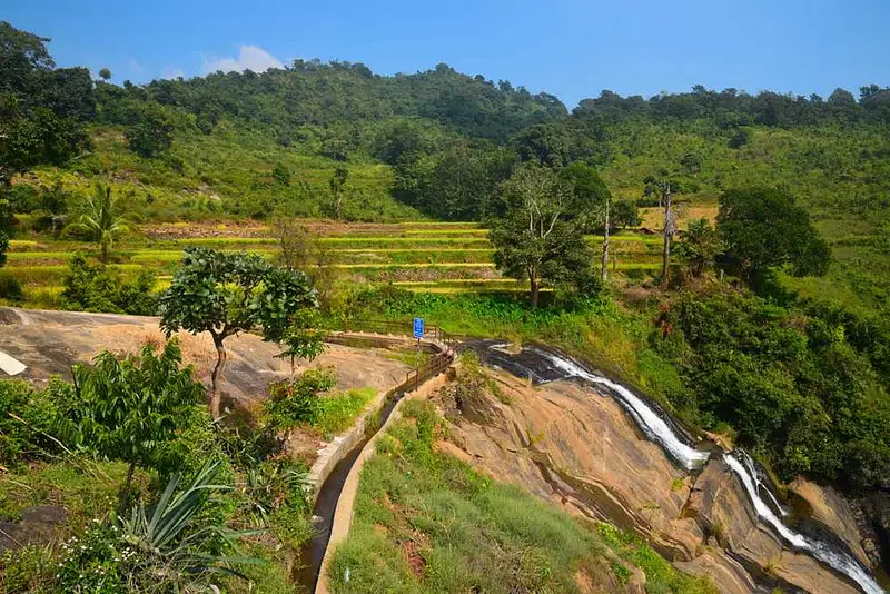 https://avathioutdoors.gumlet.io/travelGuide/dev/araku-valley38808.jpg