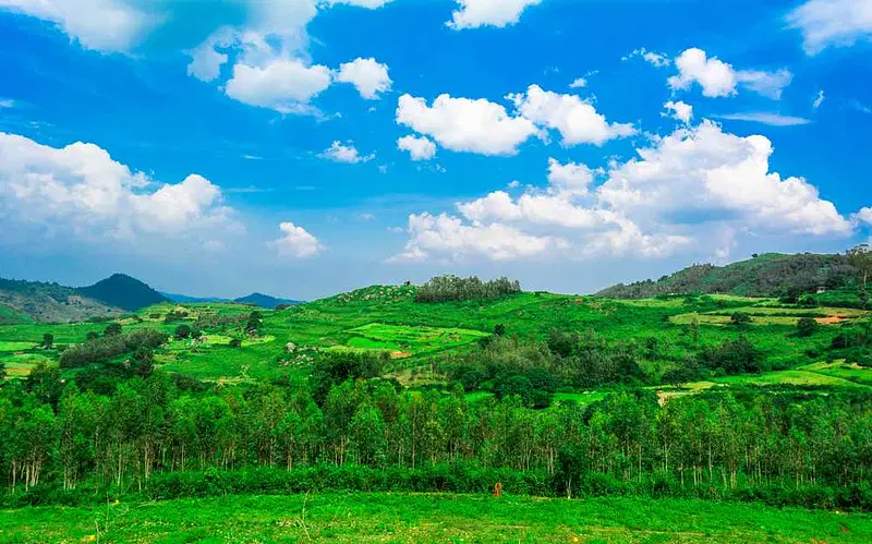https://avathioutdoors.gumlet.io/travelGuide/dev/araku-valley59025.jpg
