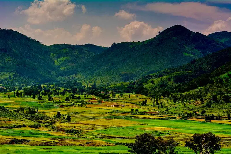 https://avathioutdoors.gumlet.io/travelGuide/dev/araku-valley94607.jpg