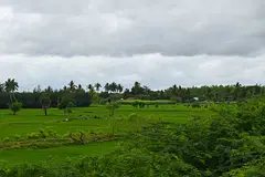 Place Image