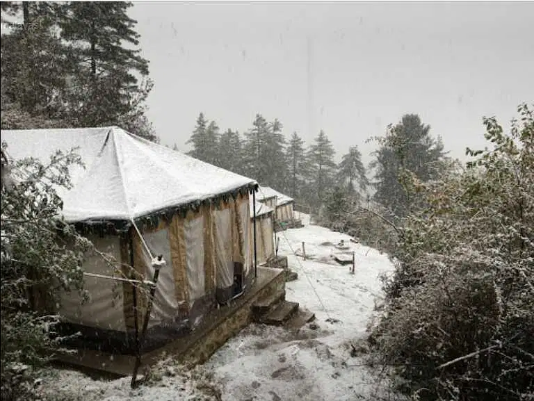 https://avathioutdoors.gumlet.io/travelGuide/dev/auli_P9431.jpg