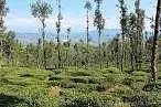 https://avathioutdoors.gumlet.io/travelGuide/dev/bageshwar_P4648.jpg