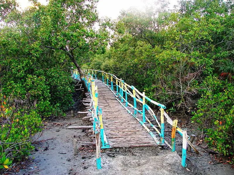 https://avathioutdoors.gumlet.io/travelGuide/dev/bakkhali_P4517.jpg