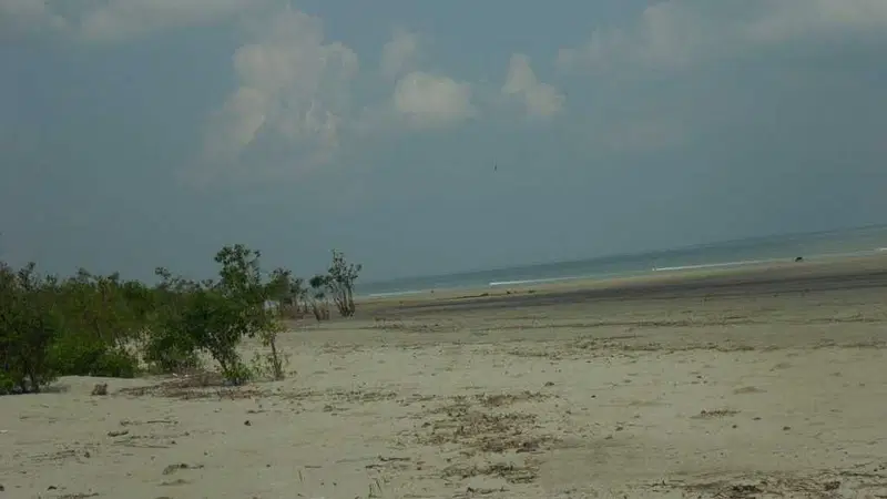https://avathioutdoors.gumlet.io/travelGuide/dev/bakkhali_P4559.jpg