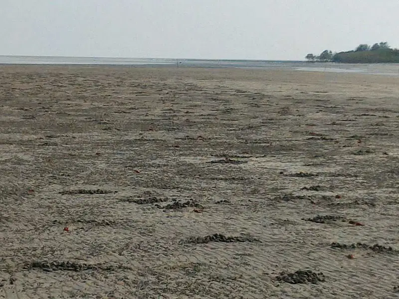 https://avathioutdoors.gumlet.io/travelGuide/dev/bakkhali_P8366.jpg