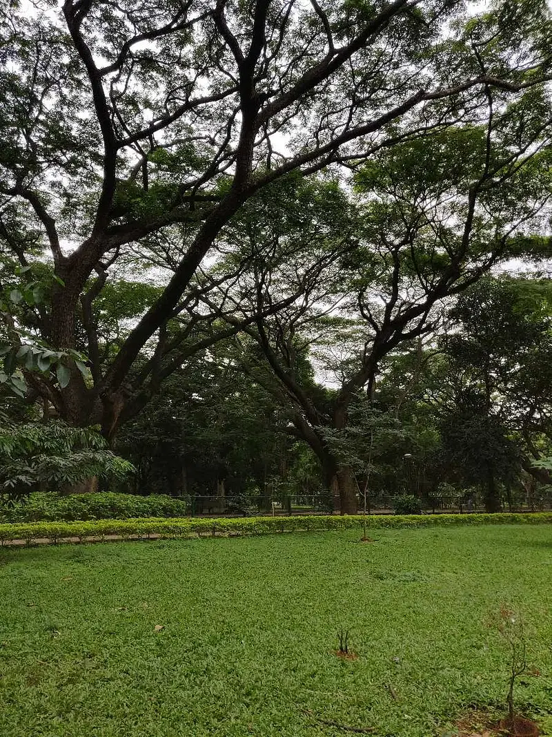 https://avathioutdoors.gumlet.io/travelGuide/dev/bangalore_P1473.jpg
