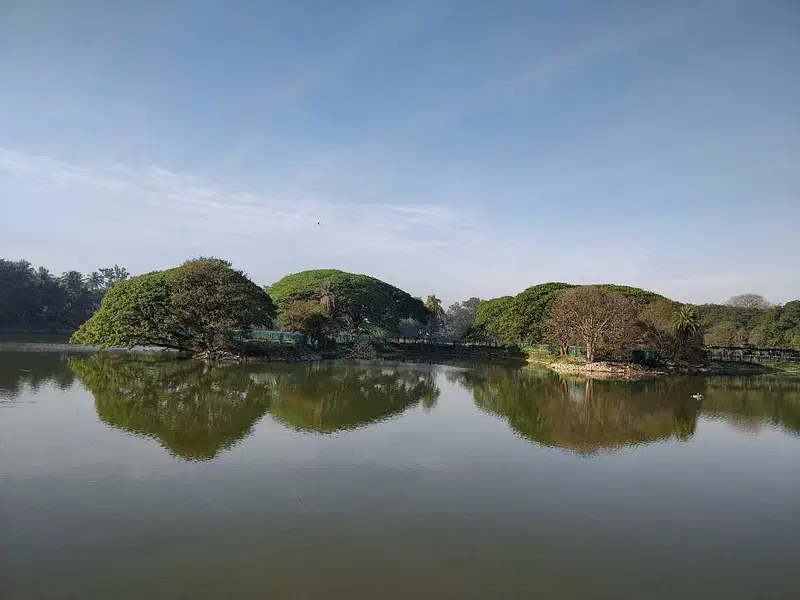 https://avathioutdoors.gumlet.io/travelGuide/dev/bangalore_P3465.jpg