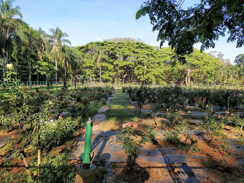 https://avathioutdoors.gumlet.io/travelGuide/dev/bangalore_P4247.jpg