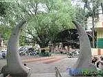 https://avathioutdoors.gumlet.io/travelGuide/dev/bangalore_P5781.jpg