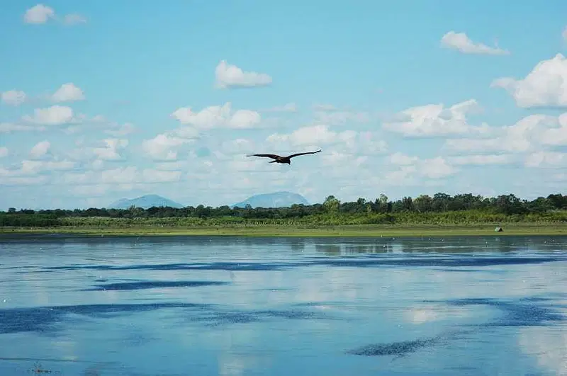 Visit Hesaraghatta Lake