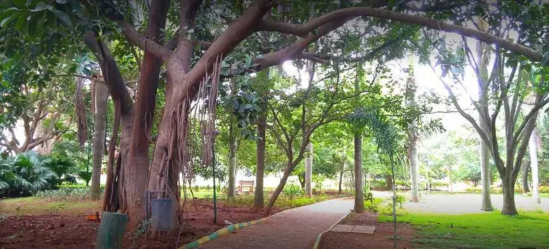 Explore M N Krishna Rao Park