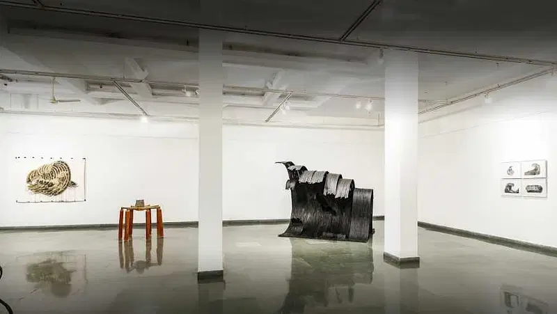 Explore Sumukha Gallery in Wilson Garden