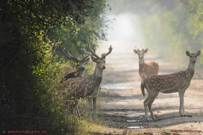 https://avathioutdoors.gumlet.io/travelGuide/dev/bharatpur50433.jpg