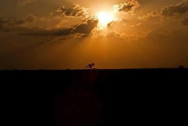 Explore the Banni Grassland Reserve