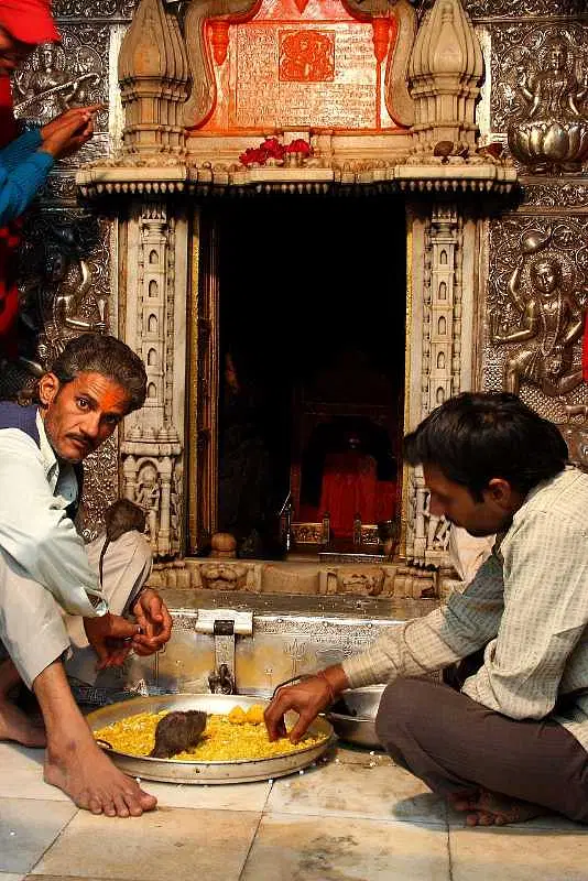 https://avathioutdoors.gumlet.io/travelGuide/dev/bikaner_P3037.jpg
