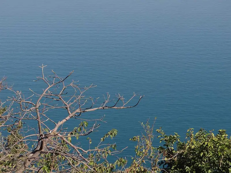 https://avathioutdoors.gumlet.io/travelGuide/dev/bilaspur_P9057.jpg