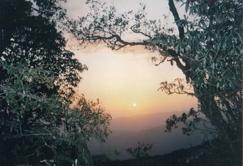 https://avathioutdoors.gumlet.io/travelGuide/dev/binsar_P4986.jpg