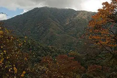 https://avathioutdoors.gumlet.io/travelGuide/dev/bomdila33098.jpg