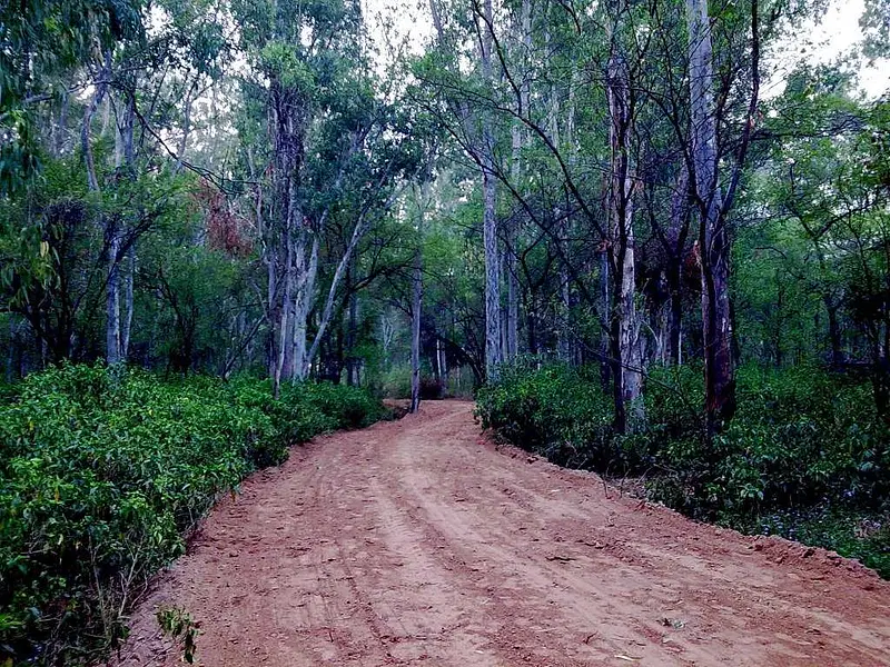 https://avathioutdoors.gumlet.io/travelGuide/dev/chandigarh99540.jpg