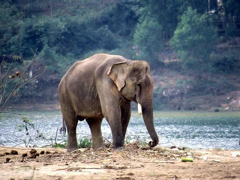 https://avathioutdoors.gumlet.io/travelGuide/dev/chittoor_P7800.jpg