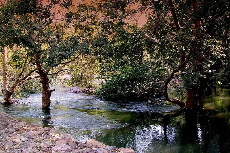 https://avathioutdoors.gumlet.io/travelGuide/dev/chittorgarh_P6417.jpg