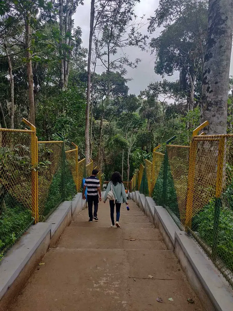 https://avathioutdoors.gumlet.io/travelGuide/dev/coorg_P7217.jpg