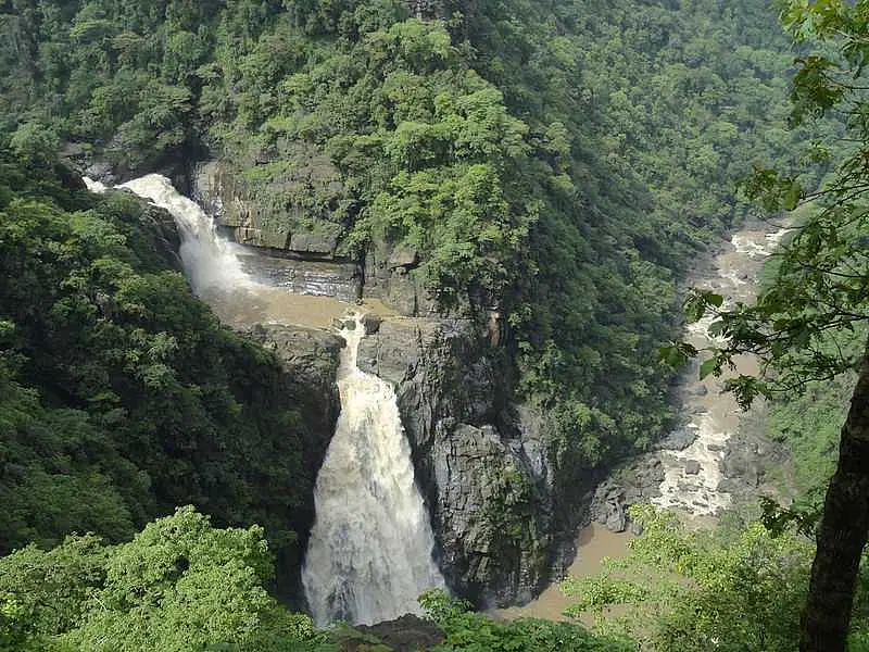 https://avathioutdoors.gumlet.io/travelGuide/dev/dandeli_P8325.jpg