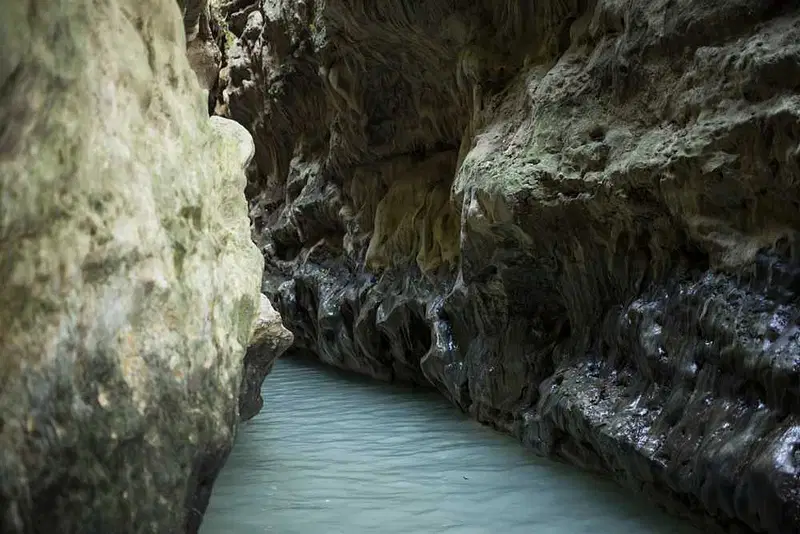 https://avathioutdoors.gumlet.io/travelGuide/dev/dehradun_P4130.jpg