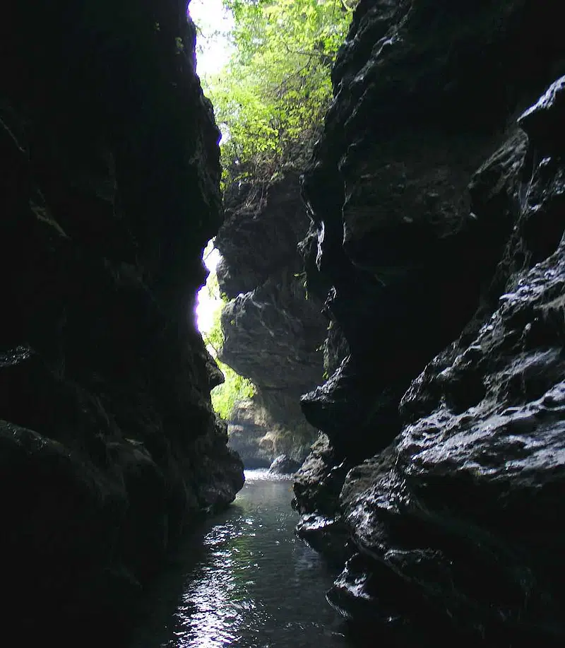 https://avathioutdoors.gumlet.io/travelGuide/dev/dehradun_P4800.jpg