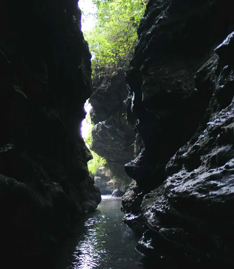 https://avathioutdoors.gumlet.io/travelGuide/dev/dehradun_P6260.jpg