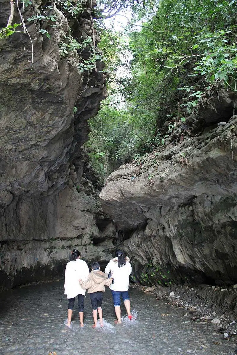 https://avathioutdoors.gumlet.io/travelGuide/dev/dehradun_P9218.jpg