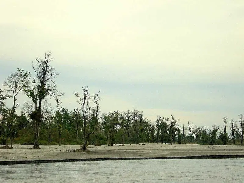 https://avathioutdoors.gumlet.io/travelGuide/dev/dibru-saikhowa-national-park42067.jpg