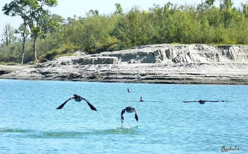 https://avathioutdoors.gumlet.io/travelGuide/dev/dibru-saikhowa-national-park73184.jpg