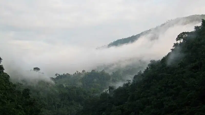 https://avathioutdoors.gumlet.io/travelGuide/dev/dooars25011.jpg
