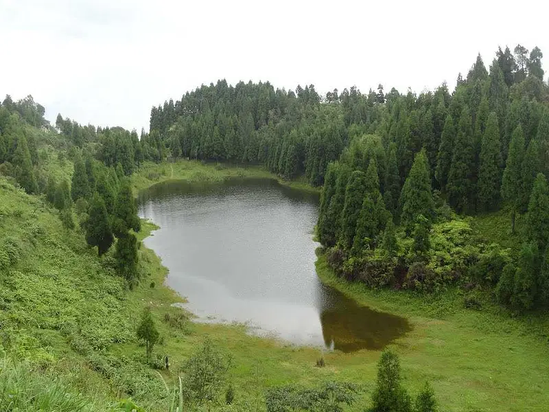 https://avathioutdoors.gumlet.io/travelGuide/dev/dooars81409.jpg
