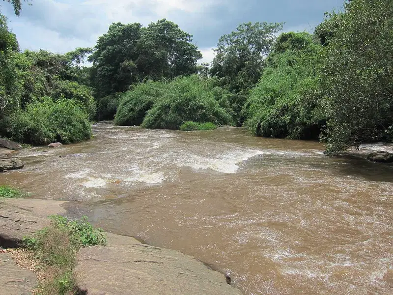 https://avathioutdoors.gumlet.io/travelGuide/dev/ernakulam88398.jpg