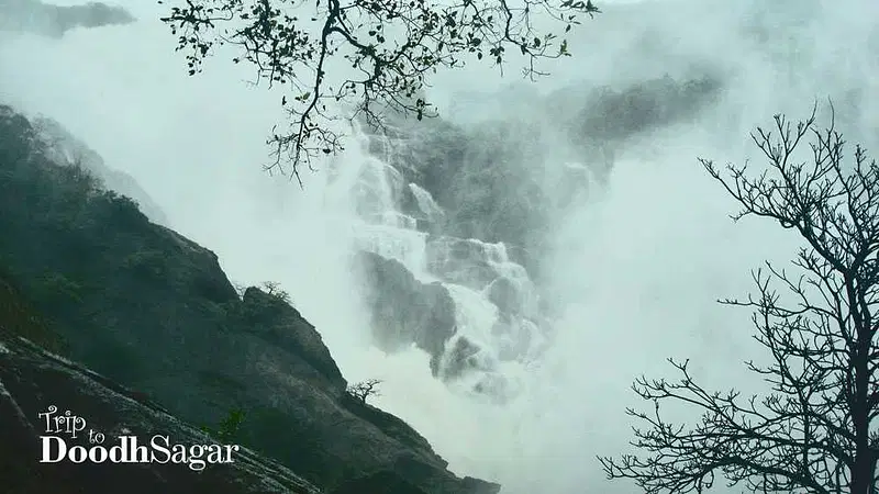 https://avathioutdoors.gumlet.io/travelGuide/dev/goa_P1793.jpg