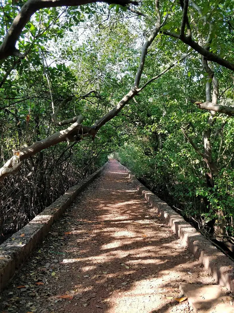 https://avathioutdoors.gumlet.io/travelGuide/dev/goa_P4283.jpg