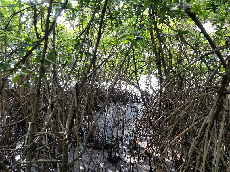 https://avathioutdoors.gumlet.io/travelGuide/dev/goa_P4872.jpg