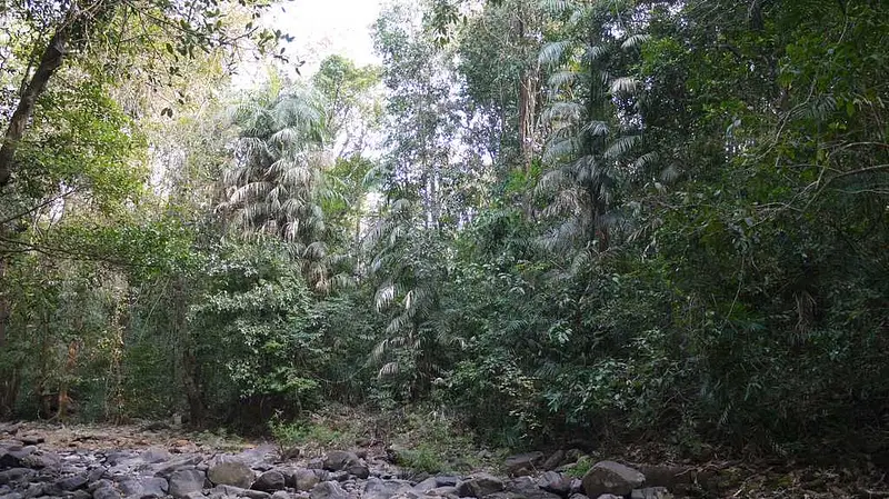 https://avathioutdoors.gumlet.io/travelGuide/dev/goa_P5521.jpg