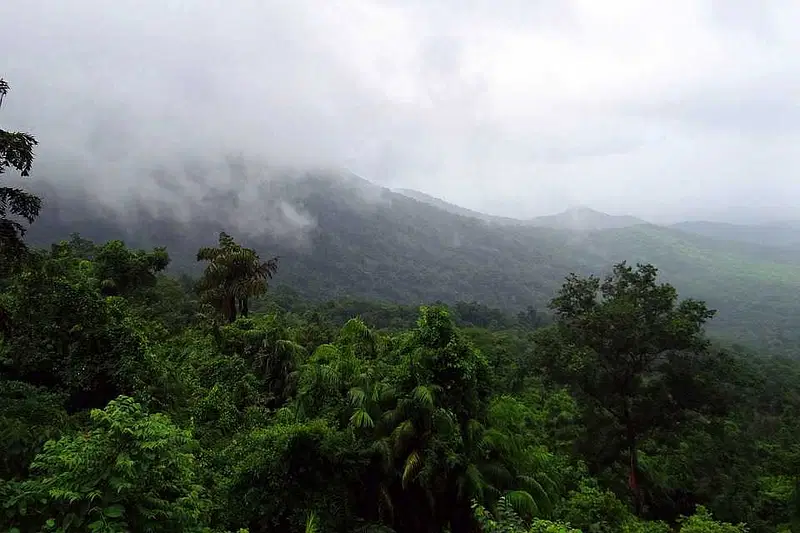https://avathioutdoors.gumlet.io/travelGuide/dev/goa_P7195.jpg