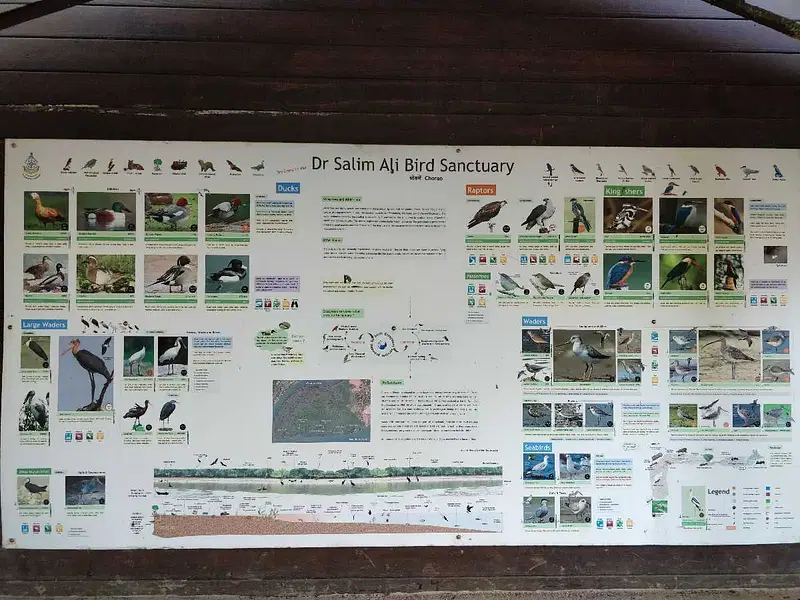 https://avathioutdoors.gumlet.io/travelGuide/dev/goa_P8299.jpg