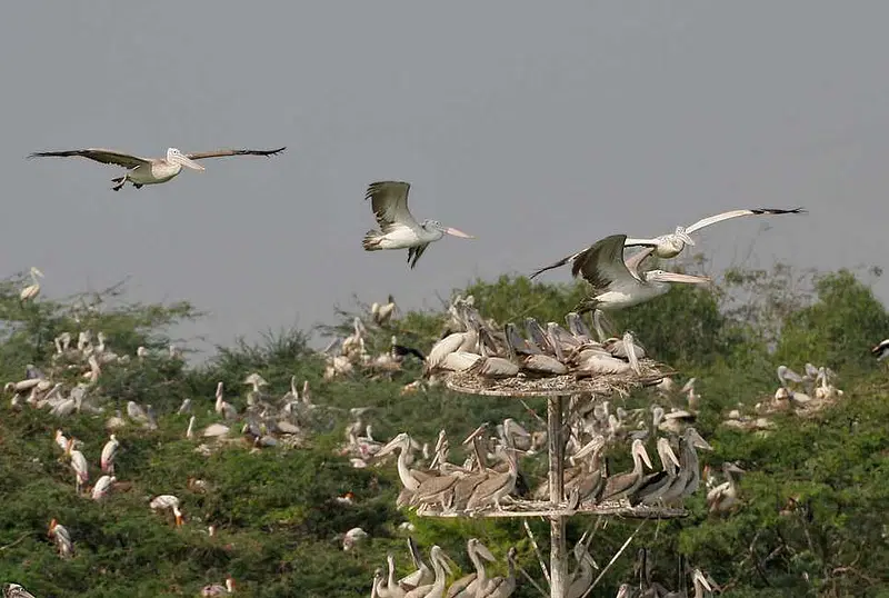 https://avathioutdoors.gumlet.io/travelGuide/dev/guntur_P7855.jpg