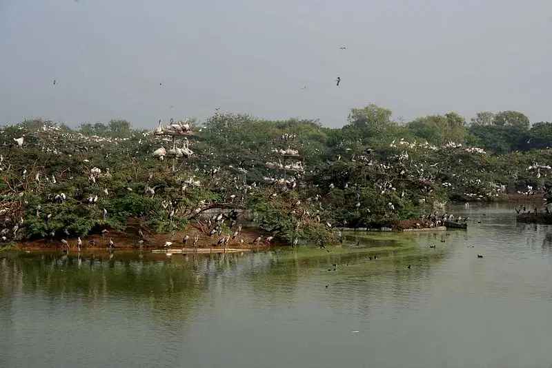 https://avathioutdoors.gumlet.io/travelGuide/dev/guntur_P9073.jpg