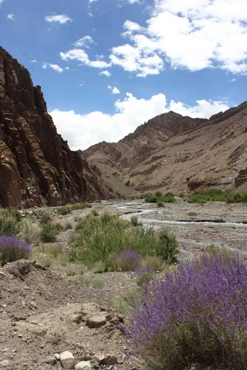 https://avathioutdoors.gumlet.io/travelGuide/dev/hemis_P1081.jpg