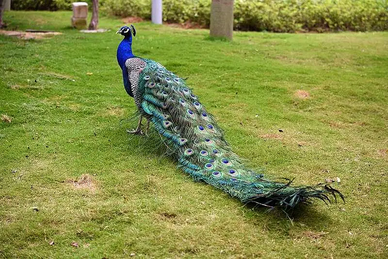 https://avathioutdoors.gumlet.io/travelGuide/dev/hyderabad_P7629.jpg