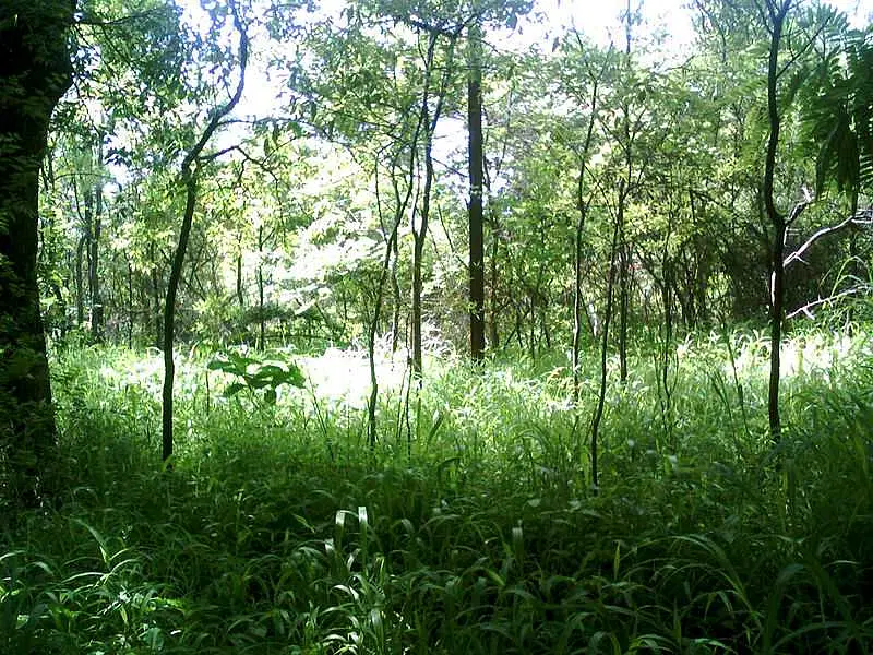 https://avathioutdoors.gumlet.io/travelGuide/dev/hyderabad_P8339.jpg