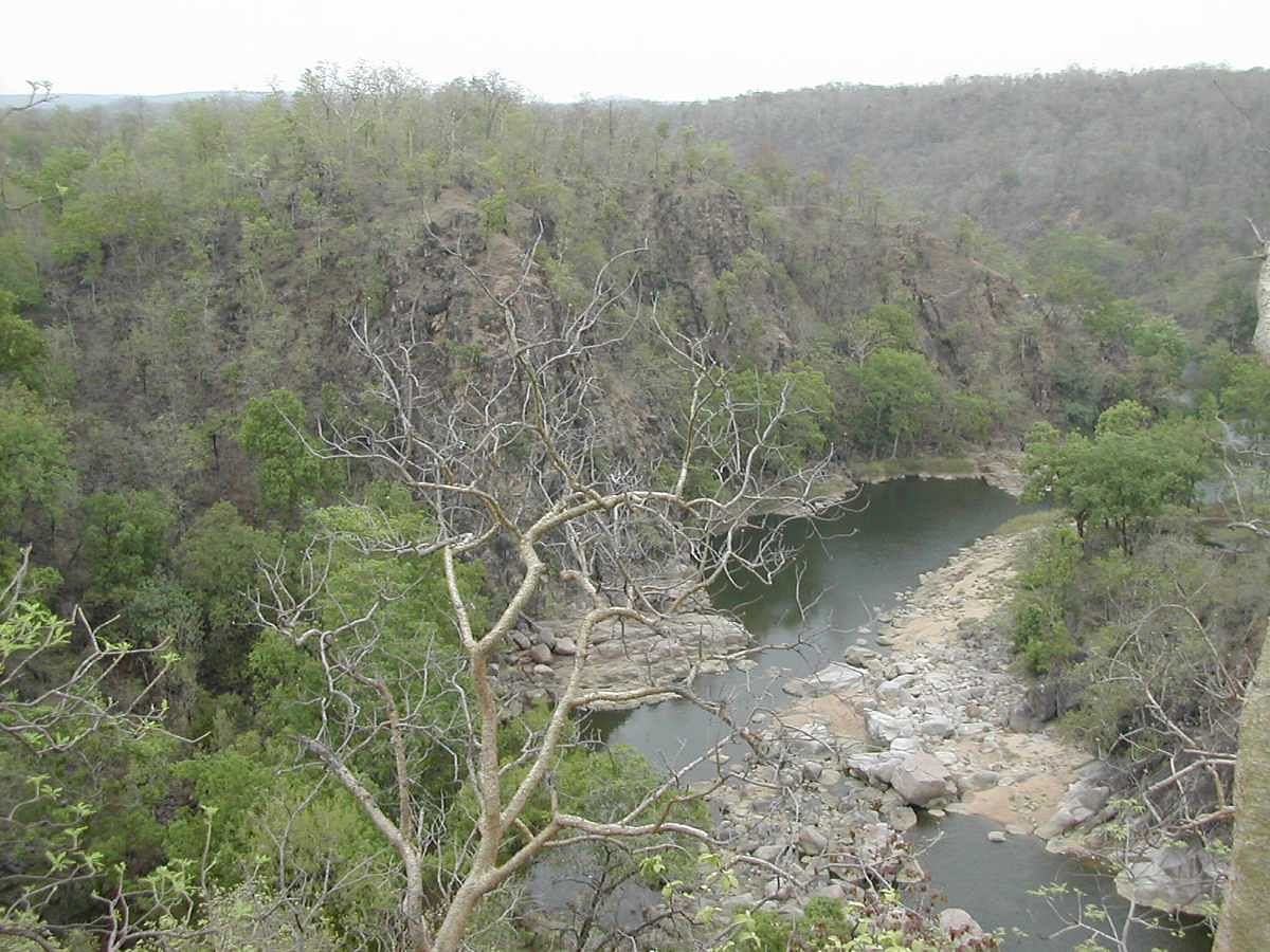 Explore Ralamandal Wildlife Sanctuary