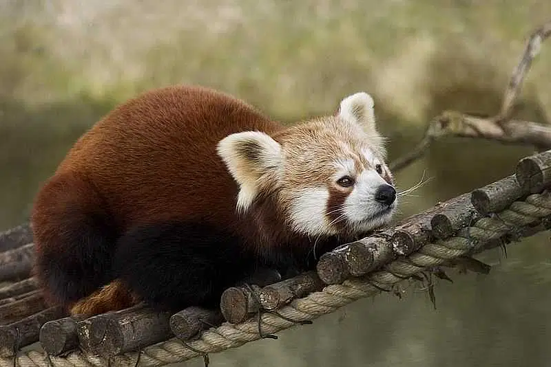 https://avathioutdoors.gumlet.io/travelGuide/dev/itanagar_P8293.jpg